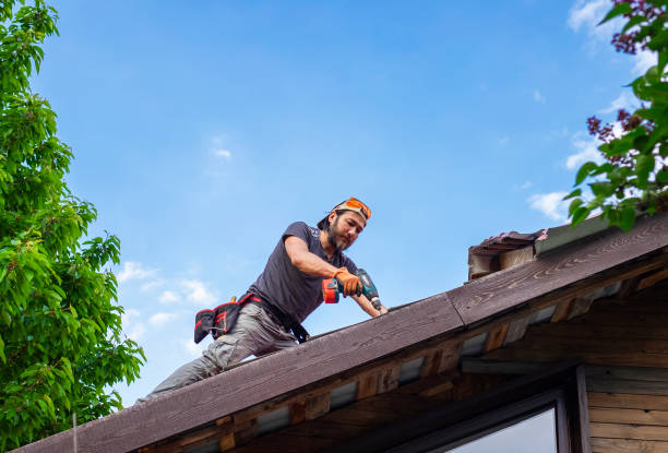 Best Roof Coating and Sealing  in Alb, IA