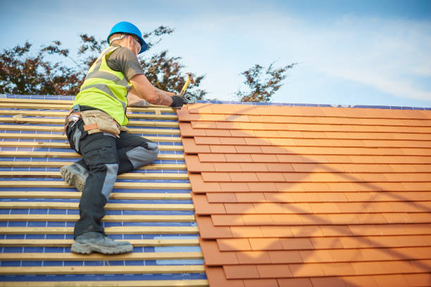 Best Steel Roofing  in Alb, IA